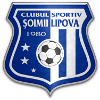 利波瓦  logo