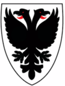 AFC溫布頓女足  logo