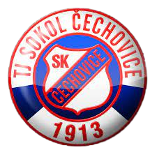 切乔维奇 logo