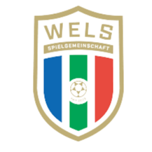 WSPG韦尔斯B队 logo