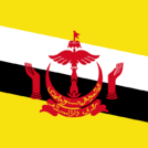 汶萊室內足球队 logo