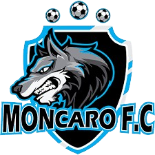 蒙卡罗  logo