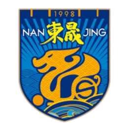 江苏南房东晟 logo