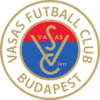 华萨斯U19 logo