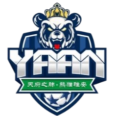 雅安队 