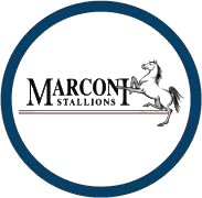 马可尼 logo