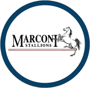 Marconi Stallions 