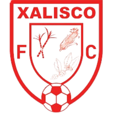 沙利斯科 logo