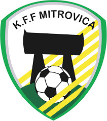 米特罗维察女足  logo