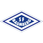 巴姆堡格 logo