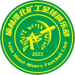 陕西漠北矿工 陕西漠北矿工