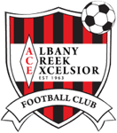 ACE  logo