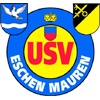 USV伊斯琛 logo