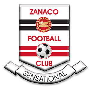 萨纳科 logo