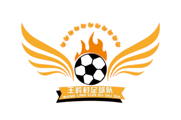 王岭村足球队 