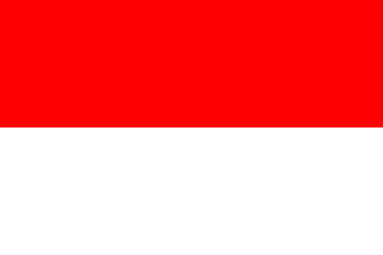 印度尼西亚沙滩足球队