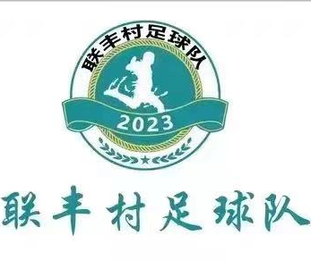 联丰村足球队 logo