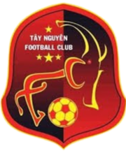 阮泰 logo