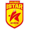 湖北青年星U15 