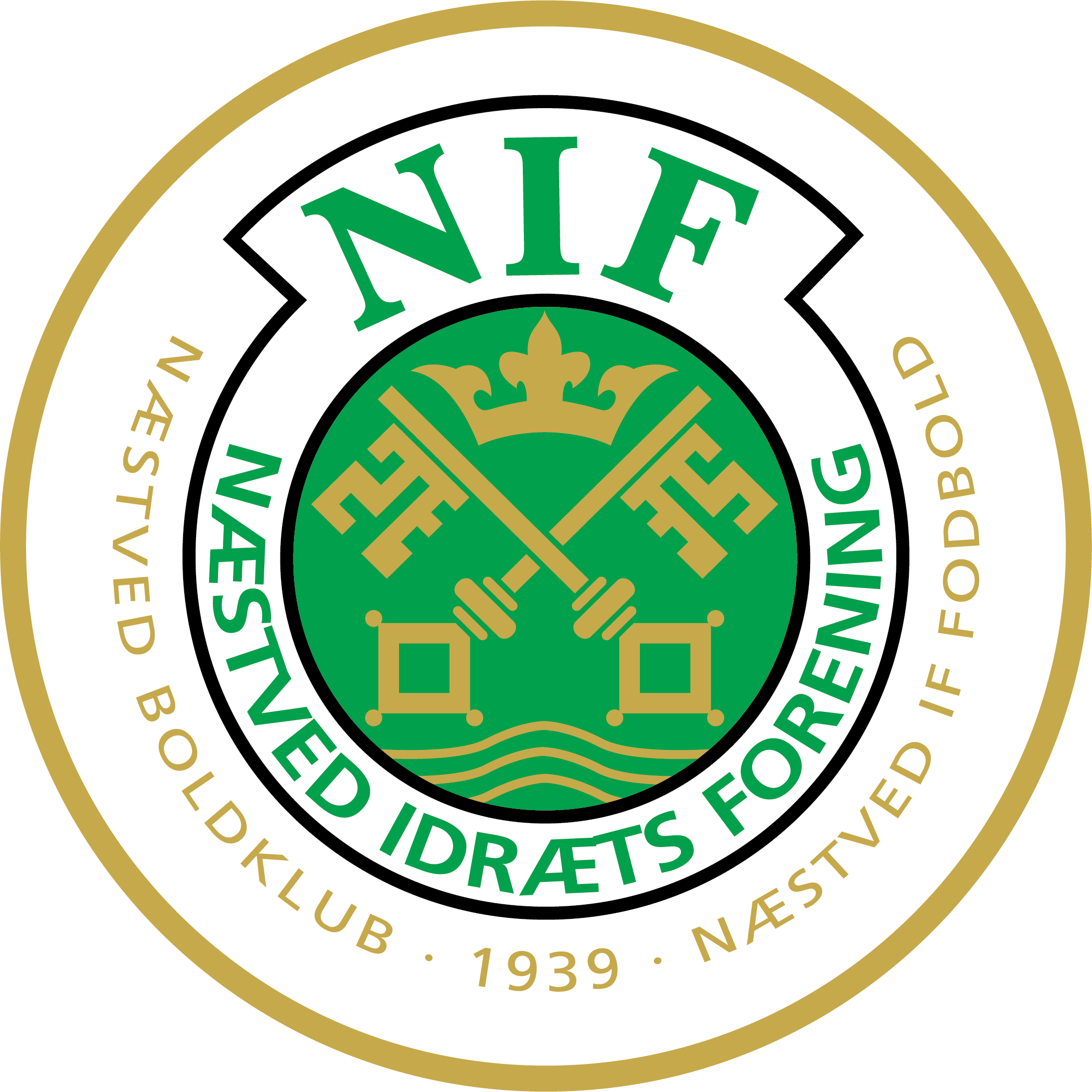 纳斯特维德乙队  logo