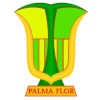 帕尔马弗·文托竞技预备队  logo
