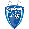 悉尼奥林匹克女子足球 logo
