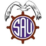 圣安东尼奥联  logo