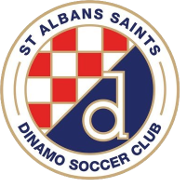 圣奧爾本斯圣特斯 logo