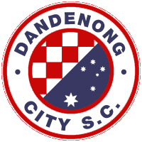 丹德農市U21 logo