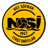 NSI鲁纳维克  logo