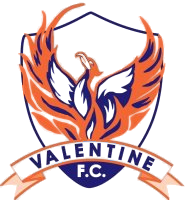 瓦伦蒂勒后备队  logo