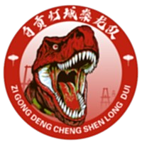 自贡队 