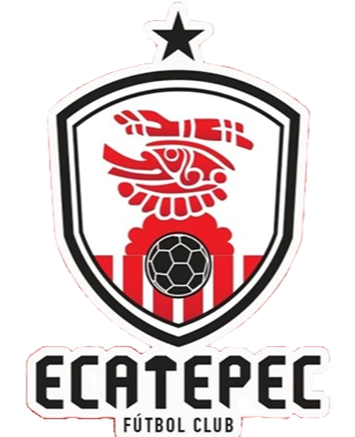 埃卡泰佩克FC logo