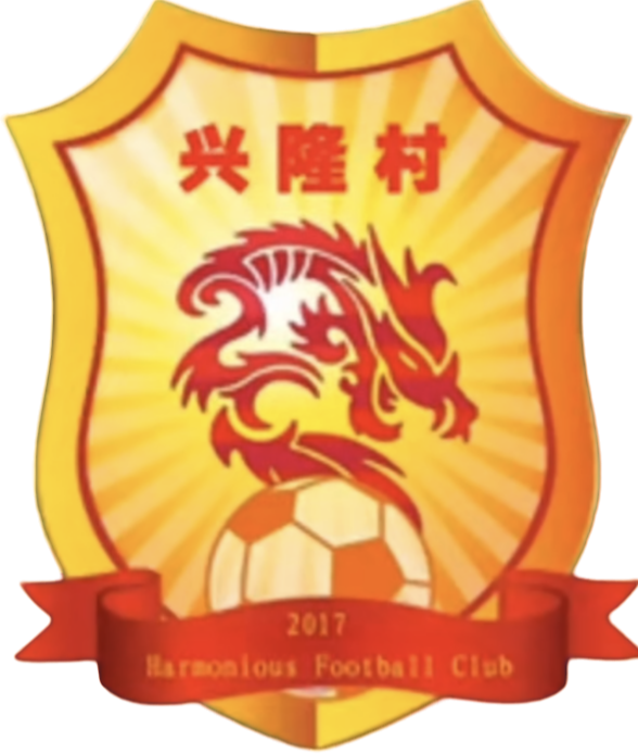 兴隆村足球队 