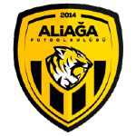 阿里阿加足球俱乐部U19 