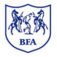 博茨瓦纳女足 logo