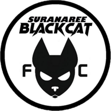 蘇拉納里黑貓  logo