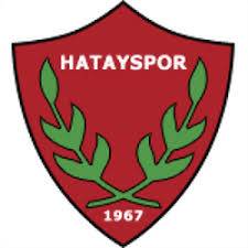 哈塔斯堡女足 logo