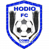 霍迪奥 logo