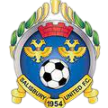 塞利斯贝瑞联后备队 logo