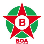 博阿 logo